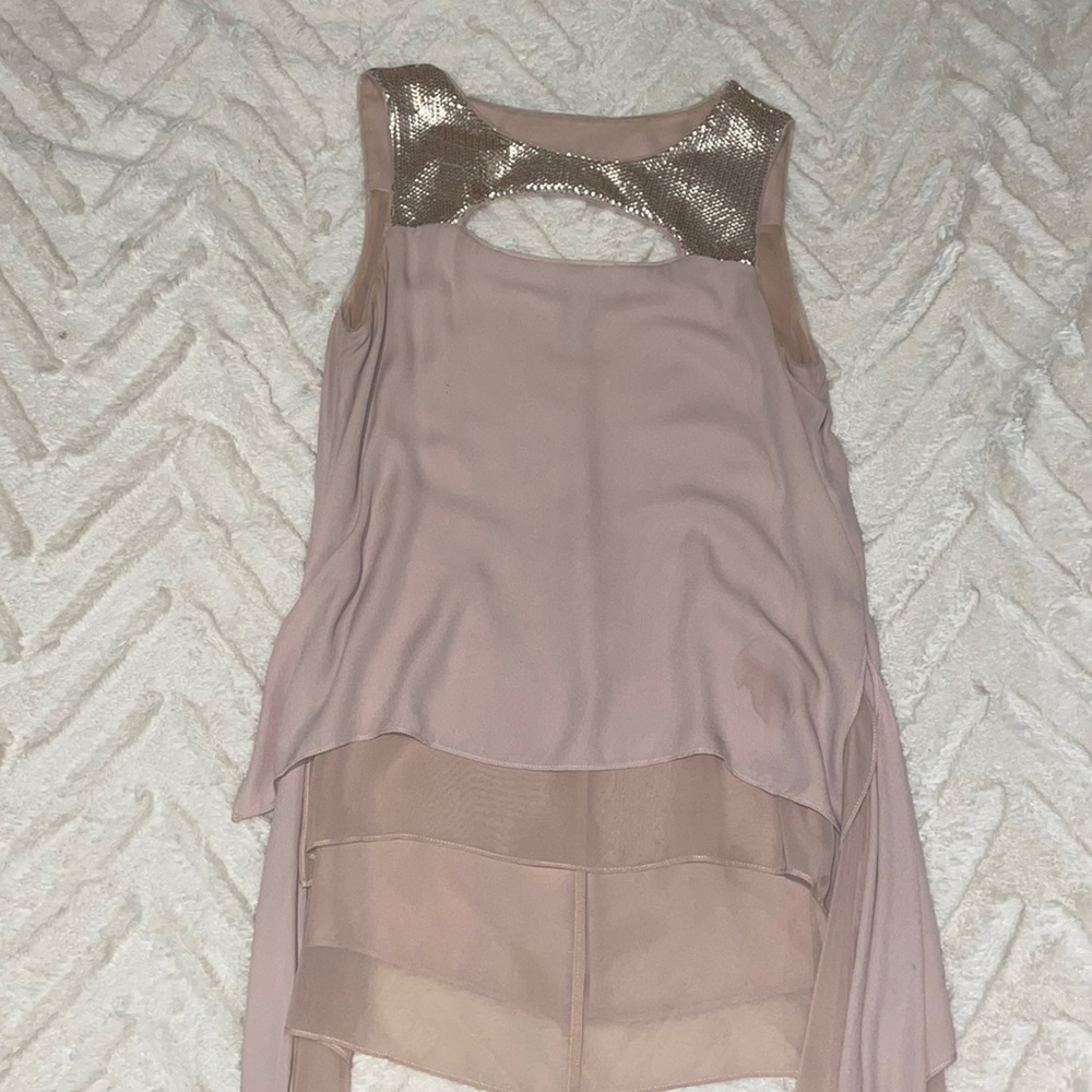 Metallic and blush top